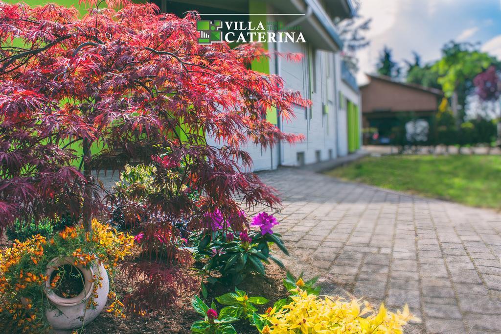 Villa Caterina Pescantina Extérieur photo