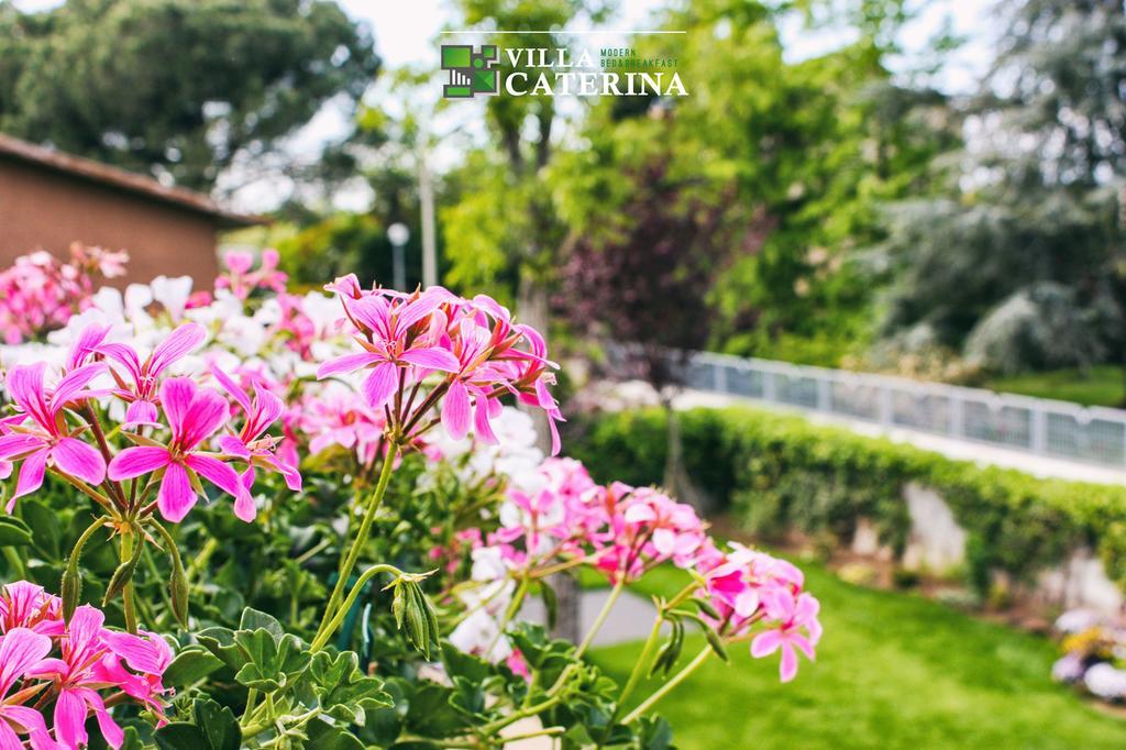 Villa Caterina Pescantina Extérieur photo